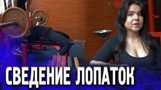 Сведение лопаток в жиме лежа