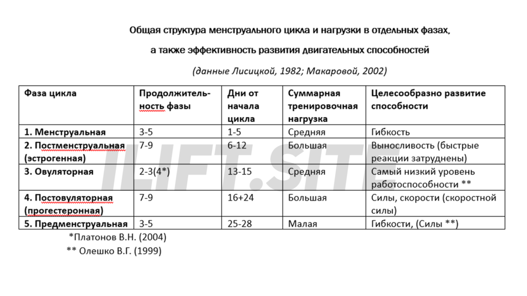 Женский тренинг: Общая структура менструального цикла и нагрузки в отдельных фазах